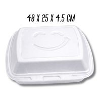 Ланч-бокс одноразовый на два отдела 40х25х4.5см