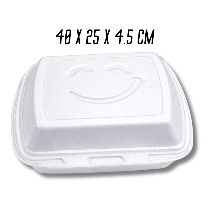 Ланч-бокс одноразовый на два отдела 40х25х4.5см