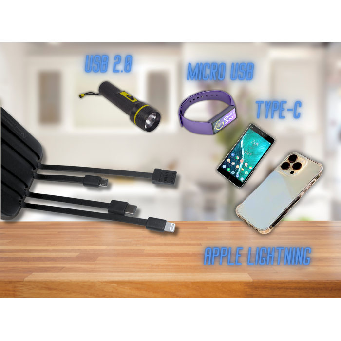 Power Bank Viaking GB059 10000 мАг портативний акумулятор із ліхтариком індикатором зарядки та 4 кабелями