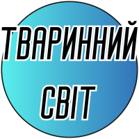 Животный мир бисером